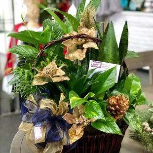 Living Floral piece for memorial service.