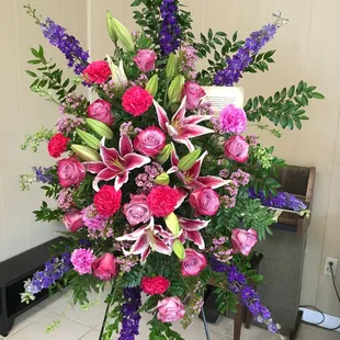 Stargazers, aromatic mini-galaxies.