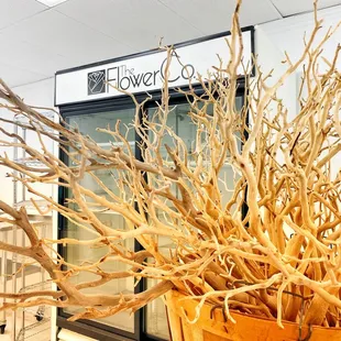 The Flower