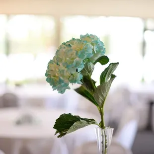 Flowers for the tables.