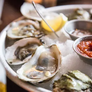 Oysters!