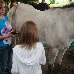 They taught her how to groom a horse!
