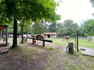 Ascend Camp & Retreat Center