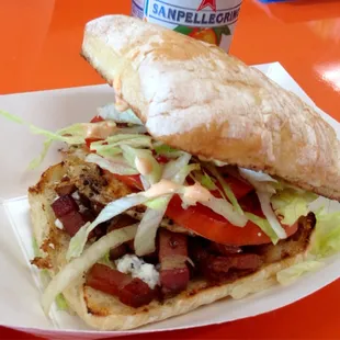 BLT-E