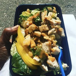 Peanut Chicken Salad