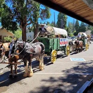 two horses pulling a covered wagon