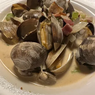 Clams