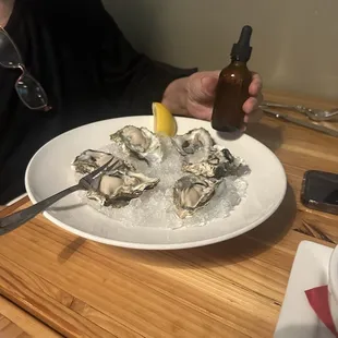 Oysters