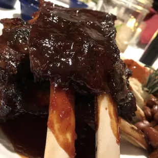 Bison Ribs