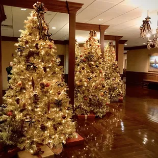 Christmas trees at the FW Club