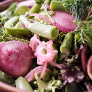 Spring Salad