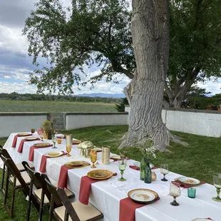 Backyard table dinner