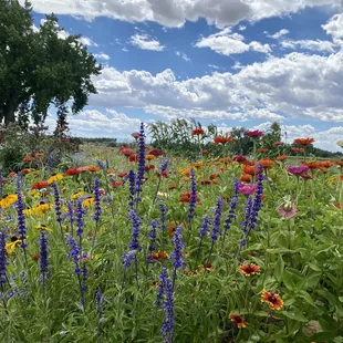 Fairy garden where the fresh bouquet came from!