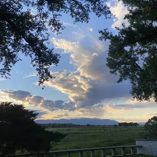 Pool which was closed