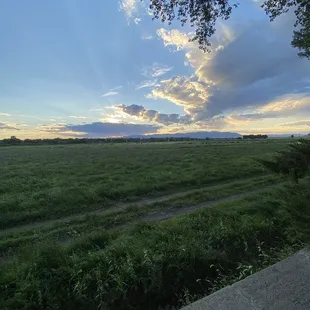 View from the backyard