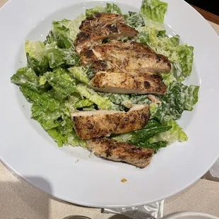 Chicken Caesar Salad