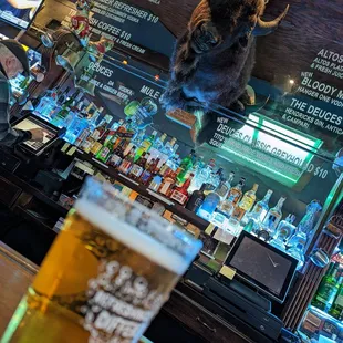 Chief - buffalo Bob! 805 draft