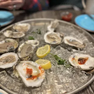Freshest cold oysters I've had in a while!