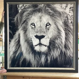 Framed photo by The Frame Shop Indy