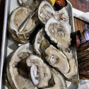 Dozen raw oysters