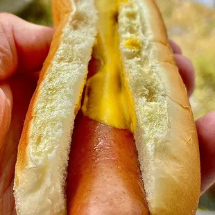 a person holding a hot dog with mustard