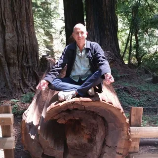 David P.