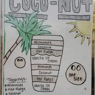 the ingredients of a coconut nut ice cream