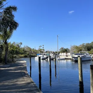 Dock that is out back