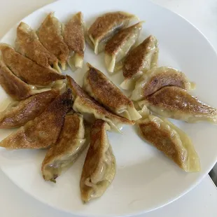 Pan fried and steamed gyoza