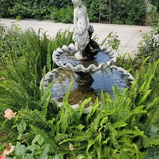 Fountain