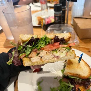 Chicken Panini