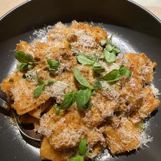 Bolognese