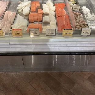 a variety of fish in a display case