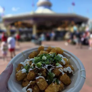 $10.49 Cheddar, Bacon, Ranch, Tots - YUM