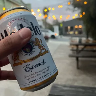 a hand holding a can of beer