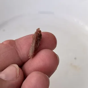 A beef (?) bone sharp I found stuck to my bacon.