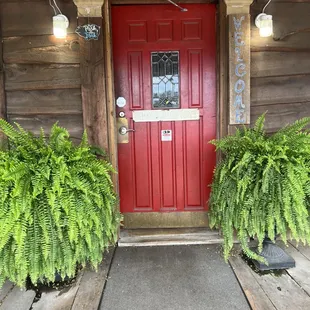a red door and two ferns