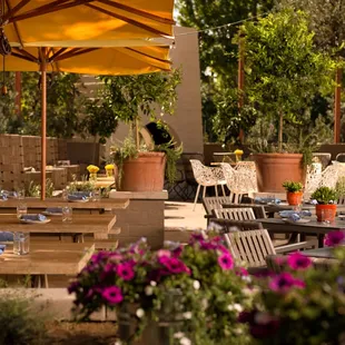 Comfortable outdoor seating