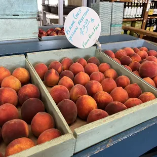 a variety of peaches for sale