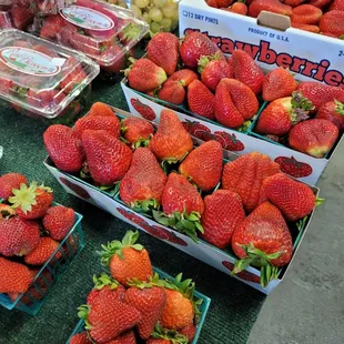 Those are some huge strawberries !