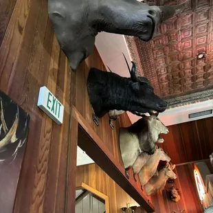 Bar area
