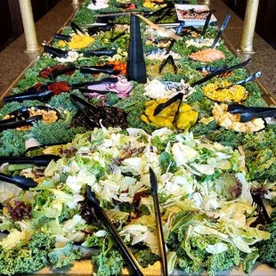 One angle of the salad bar.