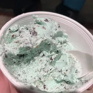 Mint chocolate chip ice cream