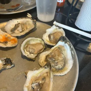 Raw Fresh Oysters