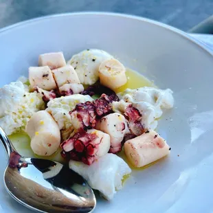 Warm Octopus and Fresh Mozzarella