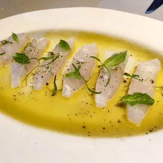 Long Island Fluke