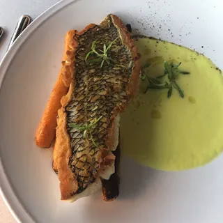 Black Sea Bass