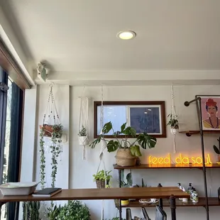 a living room with books and plants