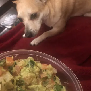 Guacamole