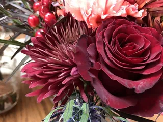 N’Bloom